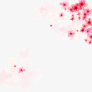 粉色樱花素材免抠