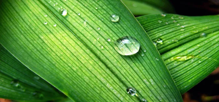 淘宝背景图高清