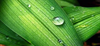 淘宝背景图高清