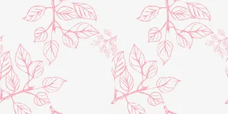 矢量树叶花纹免抠