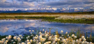 淘宝女装背景图高清