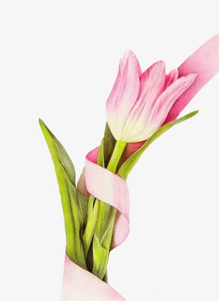 彩铅花元素免扣PNG免抠