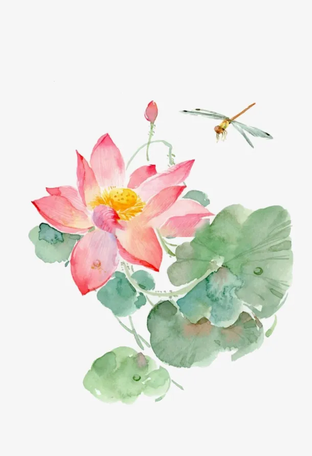 中国风水墨荷花.免抠