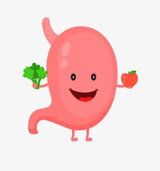 肠胃 肠胃健康 胃免抠