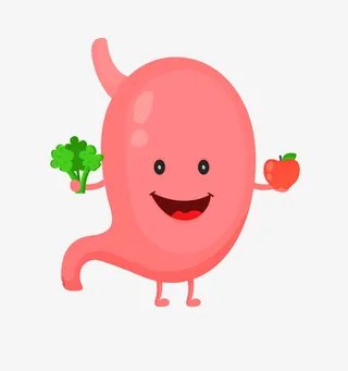 肠胃 肠胃健康 胃免抠