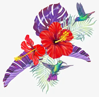 手绘卡通装饰花瓣花草装饰海报设免抠