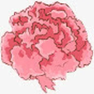 手绘粉色康乃馨七夕免抠