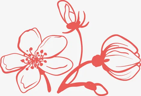 矢量线描桃花花枝花瓣素材免抠