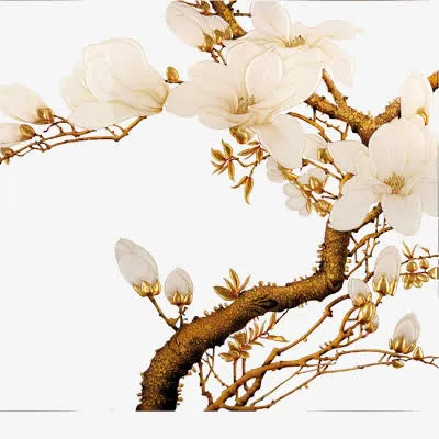 泰华免抠