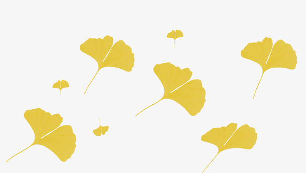 秋季银杏黄色免抠