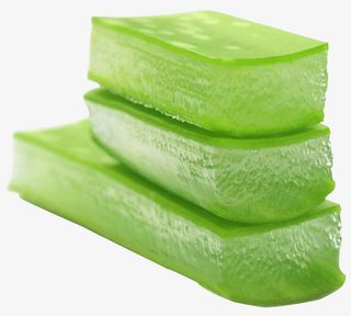 卡通手绘三片芦荟免抠