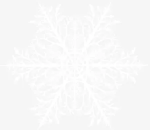 白色雪花花纹海报免抠