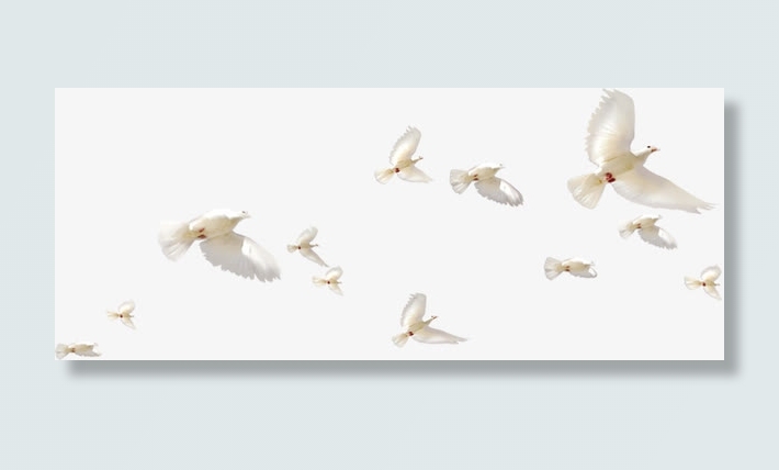 天空飞翔的和平鸽子免抠