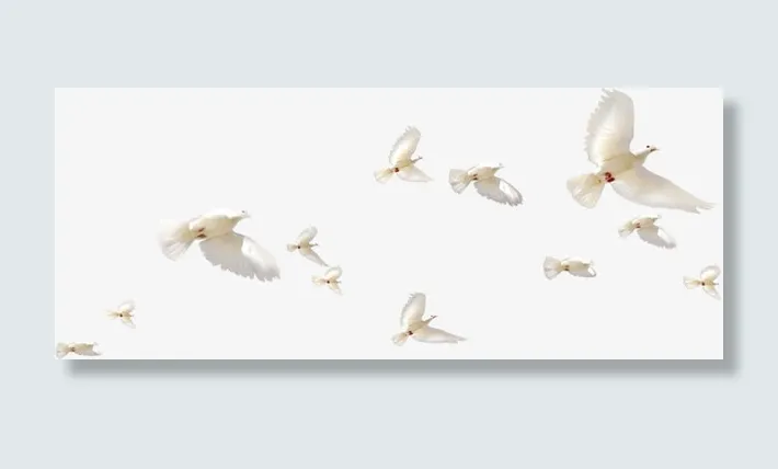 天空飞翔的和平鸽子免抠