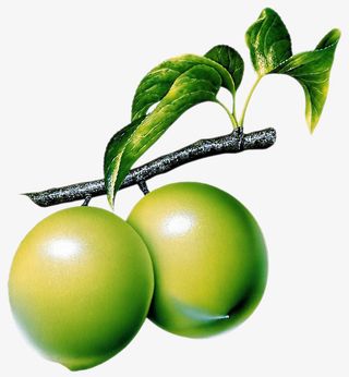 水果图片，水果，李子，植物免抠