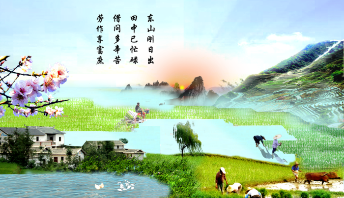 东山刚日出，田中已忙碌高清