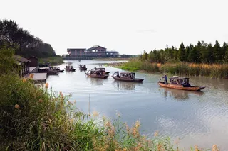 水乡湿地游船风景免抠