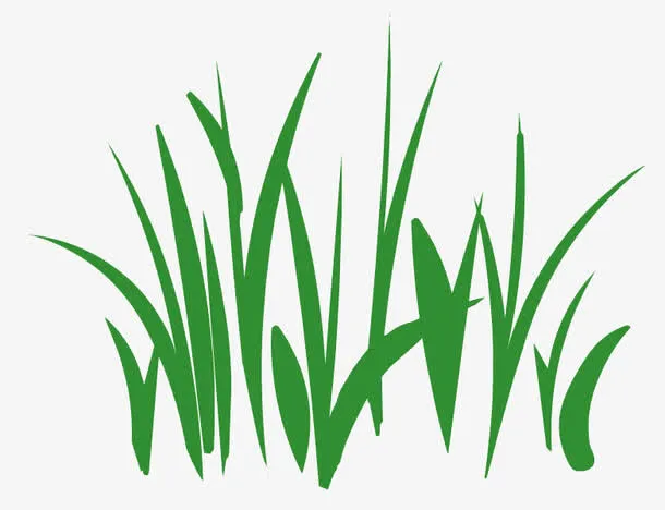 绿草矢量图免抠