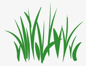绿草矢量图免抠