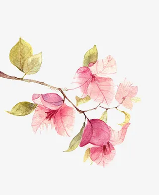 水彩手绘唯美花叶图案免抠