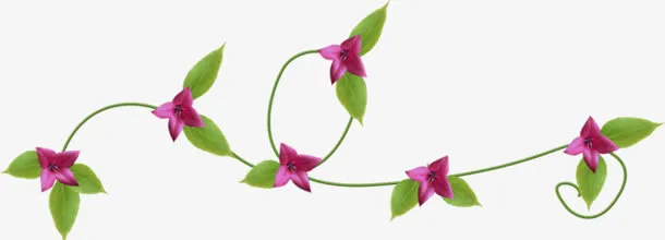 紫花绿叶蔓藤免抠