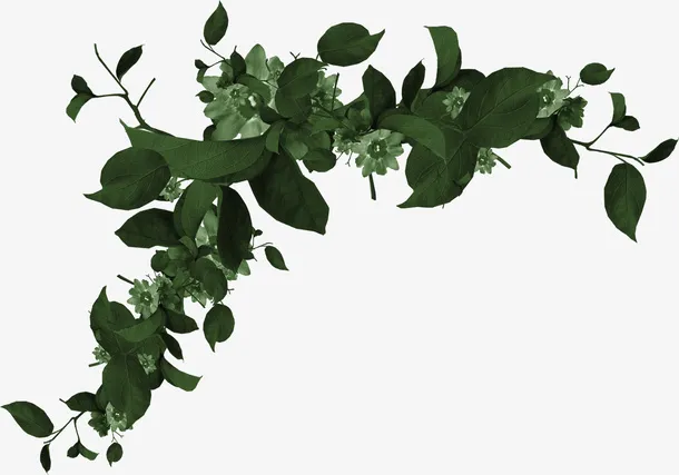墨绿色植物装饰免抠