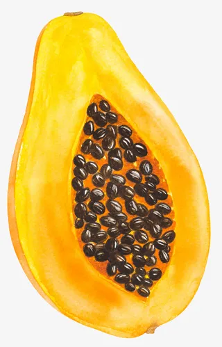 卡通手绘黄色的木瓜免抠