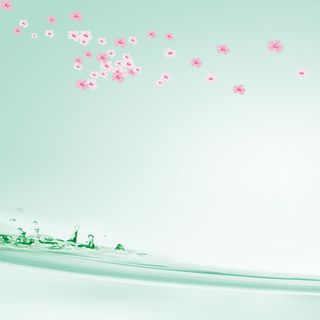 绿渐变，背景，粉花，水纹