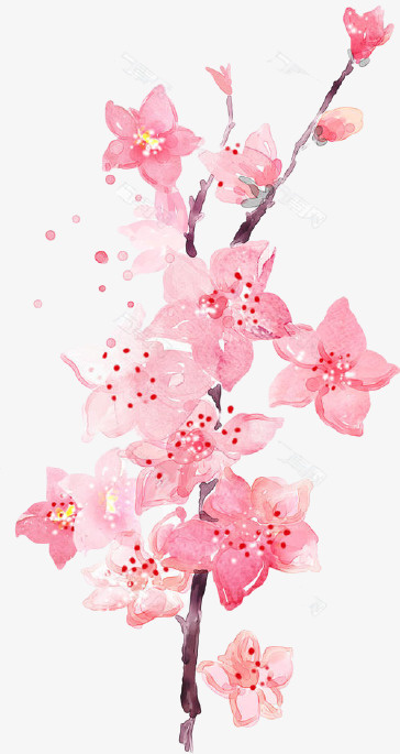 中国风手绘粉色桃花免抠