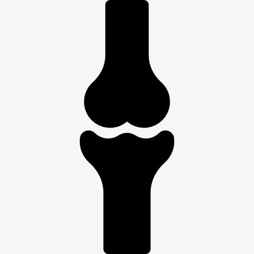 膝关节骨图标免抠