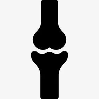 膝关节骨图标免抠