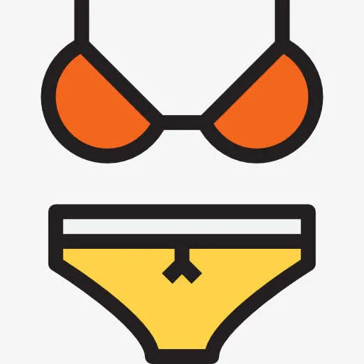 Bikini 图标免抠