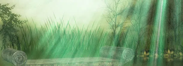 婚纱背景banner