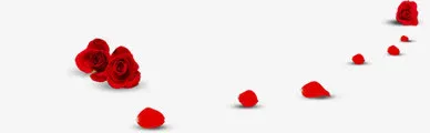 红色 花朵花瓣元素免抠