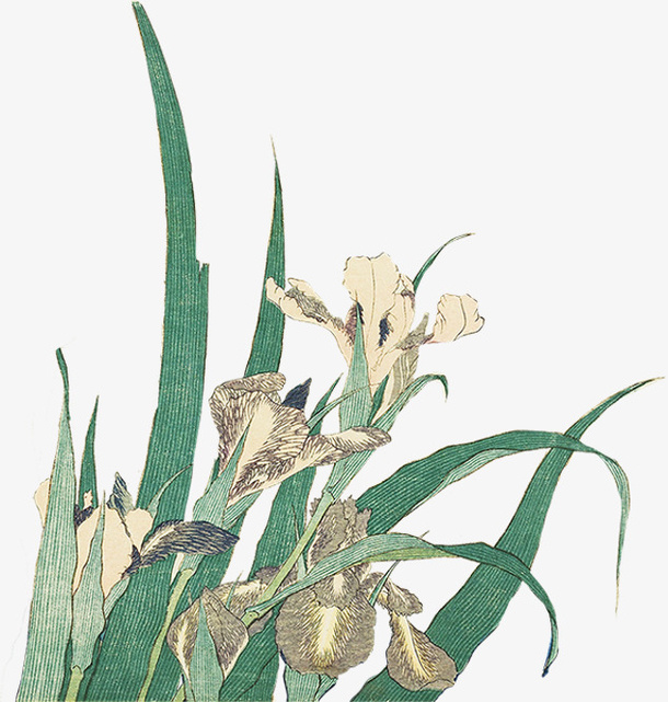 手绘水彩兰花复古水墨风免抠