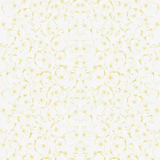 黄色线条花纹月饼包装免抠