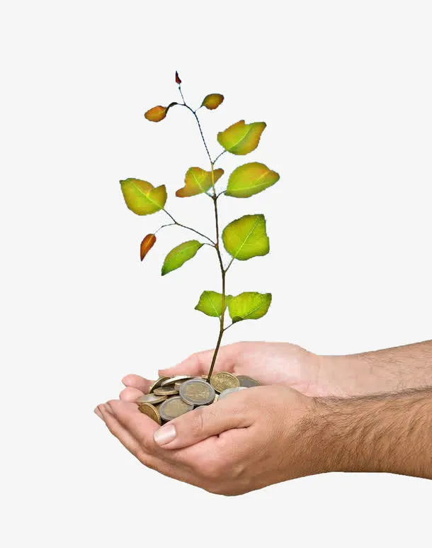 掌上种树免抠