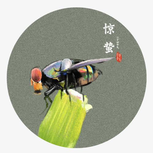 彩色质感装饰惊蛰昆虫设计图免抠