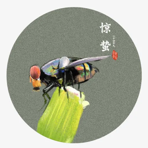 彩色质感装饰惊蛰昆虫设计图免抠