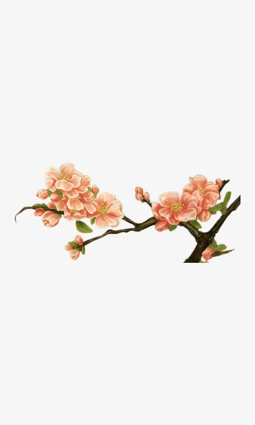 水墨红花彩绘红花免抠