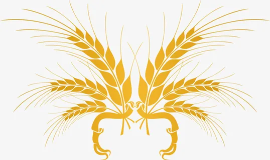 农作物小麦矢量图免抠