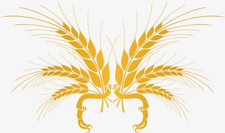 农作物小麦矢量图免抠