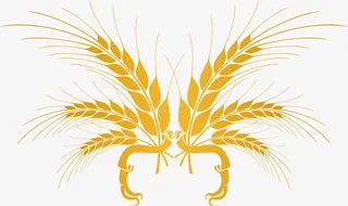 农作物小麦矢量图免抠