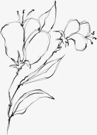 水墨植物元素17免抠