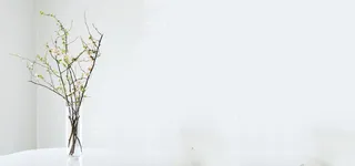 文艺小清新花枝家居背景高清