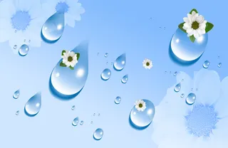 滴落的花瓣高清