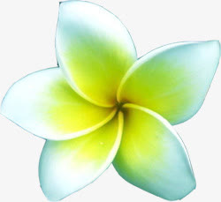 黄色茉莉花大图免抠