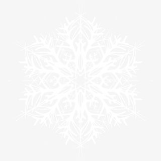 一片精美多细节的雪花片免抠