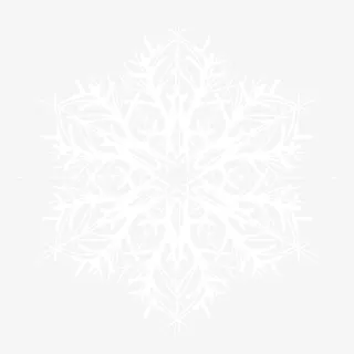 一片精美多细节的雪花片免抠