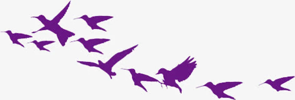 紫色飞翔喜鹊免抠